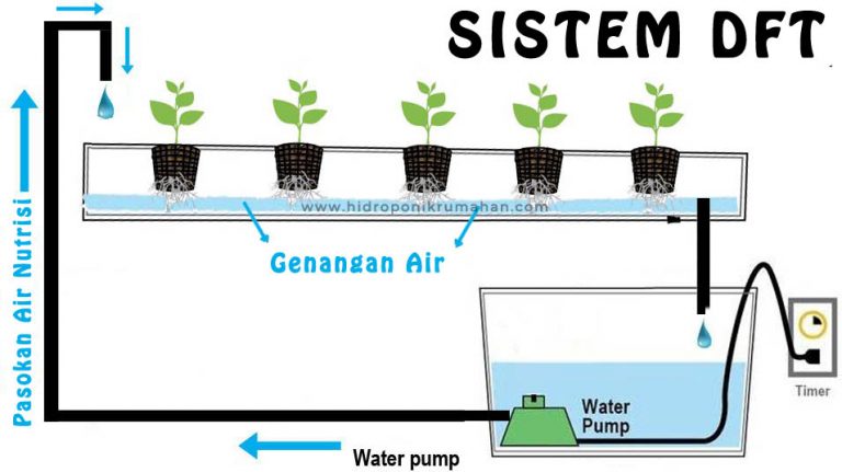 apa-itu-sistem-hidroponik-dft-768x431